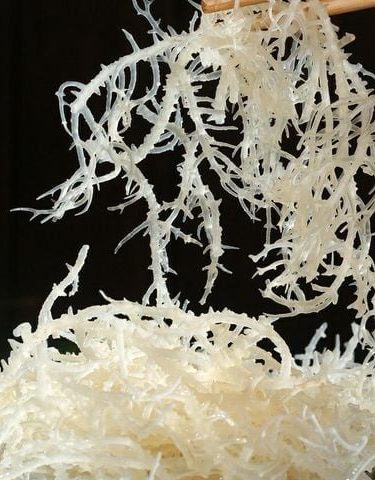 tai-xuong-f783c3c5-3547-4160-8d6a-8ebf7ca05763